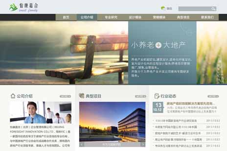 专业网站设计