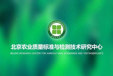 响应式网站制作