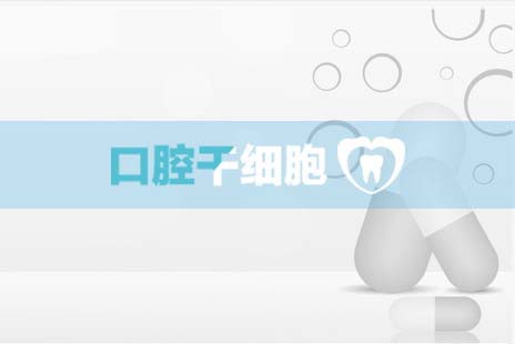 响应式网站制作