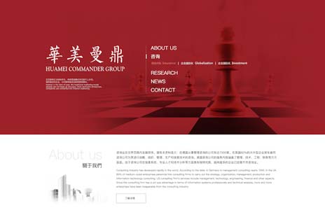 专业网站设计