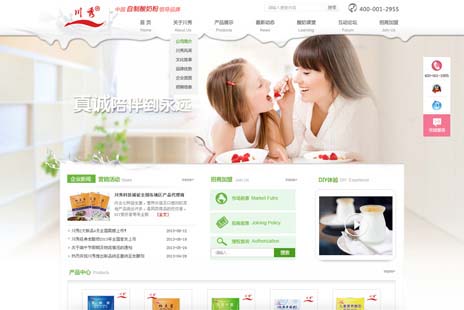 专业网站设计