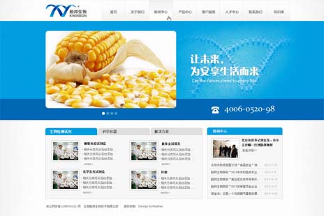 专业网站设计