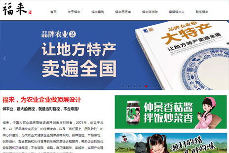 专业网站设计