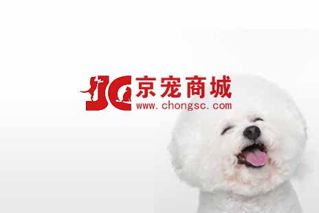 响应式网站制作