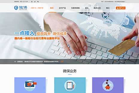 专业网站设计