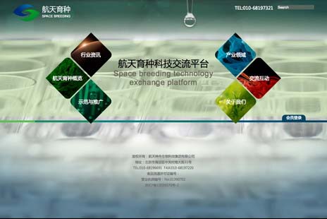 专业网站设计