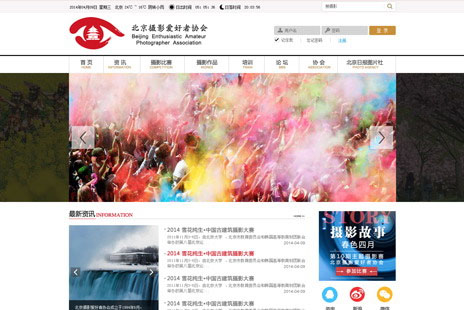 专业网站设计