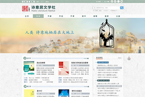 专业网站设计