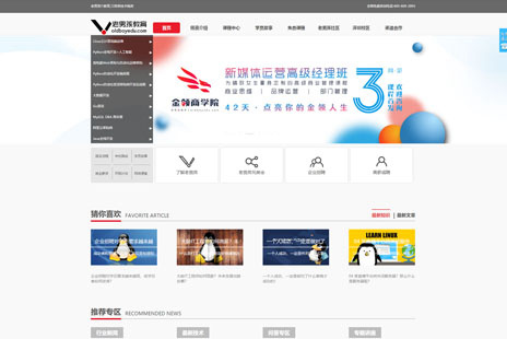 专业网站设计