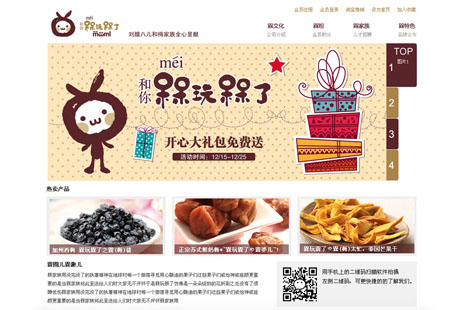 专业网站设计