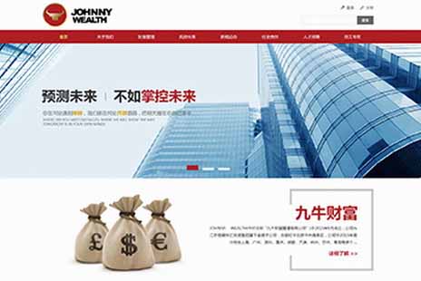 专业网站设计