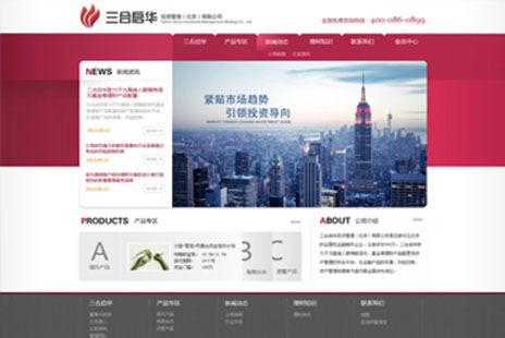 专业网站设计