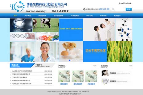 专业网站设计