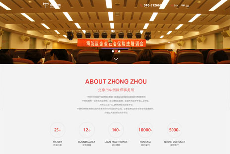 专业网站设计