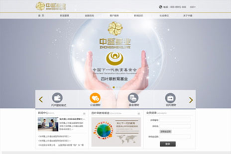专业网站设计