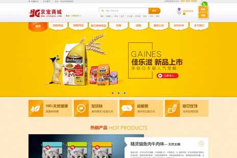 专业网站设计